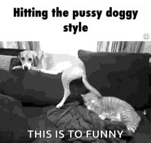 doggy porn gifs|Relevance Doggystyle Gifs